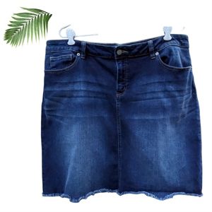 Westport Denim Jean Skirt Womens frayed hem a-line plus size 16